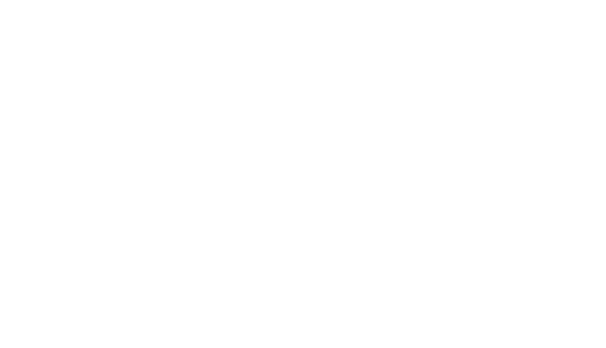 Alps Exclusive logo wit